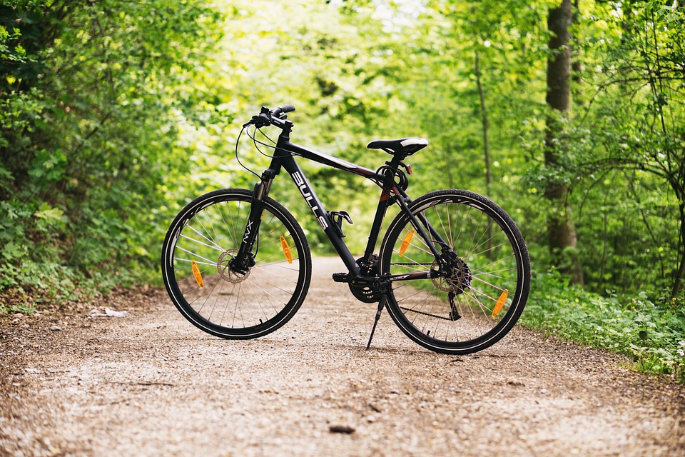 A bike parked on a path in the middle of a forested area. | Boke paths around Jacksonville, AR.