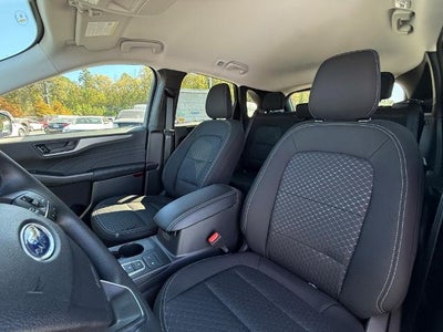 2026 Ford Escape Active®