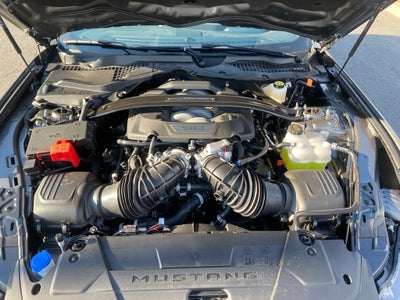 2025 Ford Mustang Dark Horse