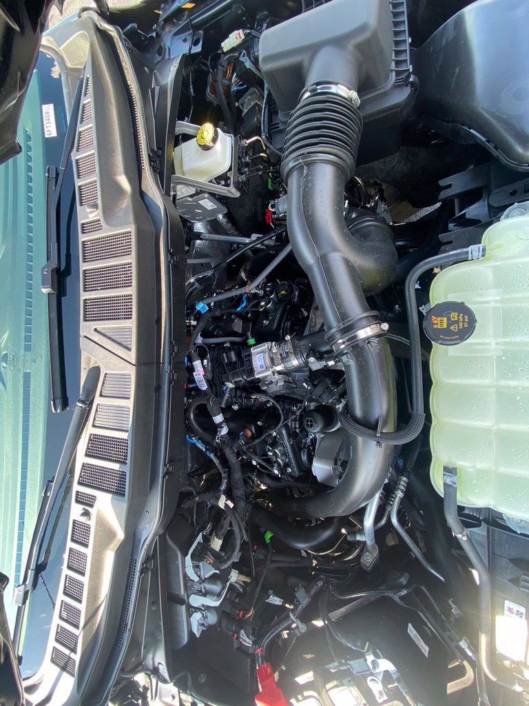 2026 Ford F-150 STX - 4WD - ECOBOOST