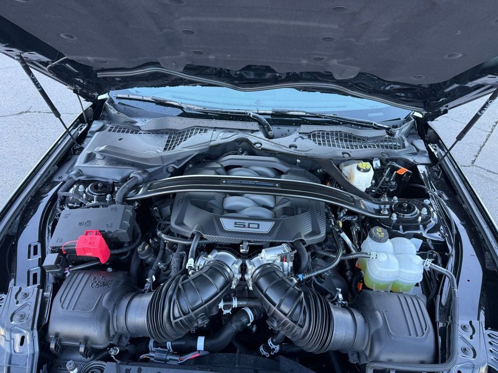 2025 Ford Mustang Dark Horse handling package,appearance pack,recaro seats