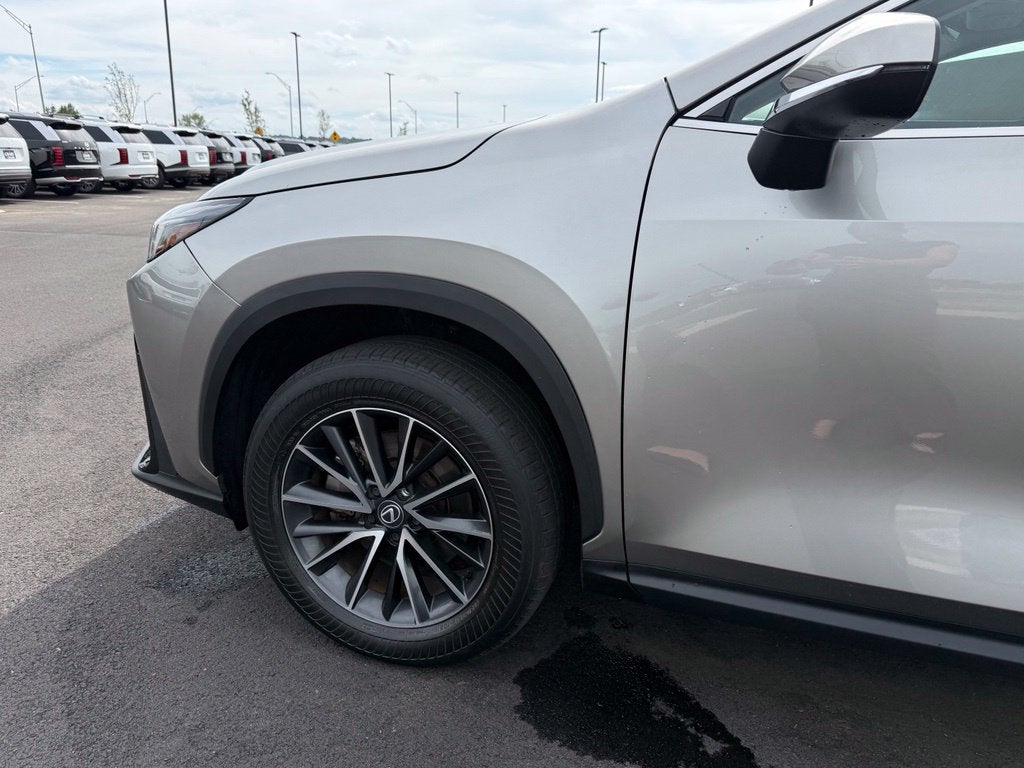 2024 Lexus NX 250 Premium