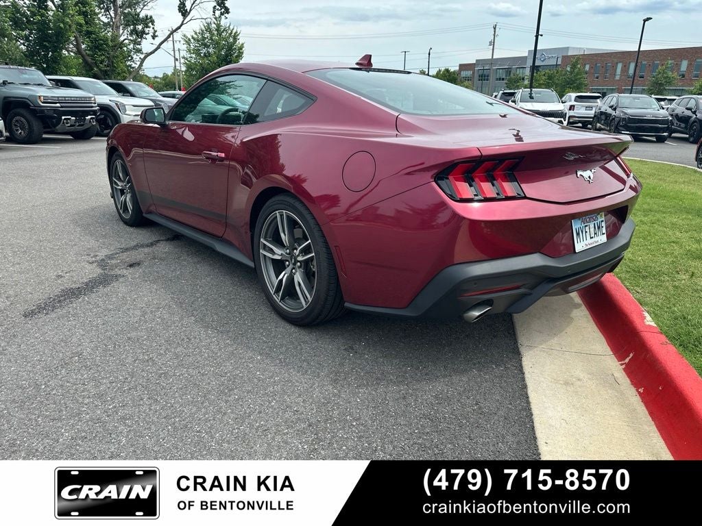 2025 Ford Mustang EcoBoost - CLEAN CARFAX / ONE OWNER