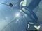 2016 Kia Sorento SX Limited *SXL Tech Pkg
