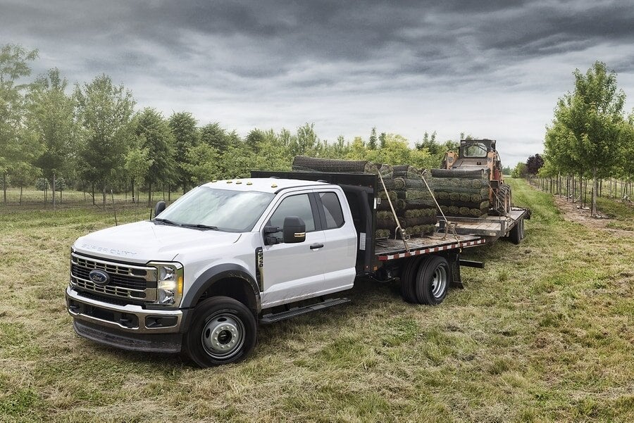 2024 Ford Commercial Vehicle for Sale
