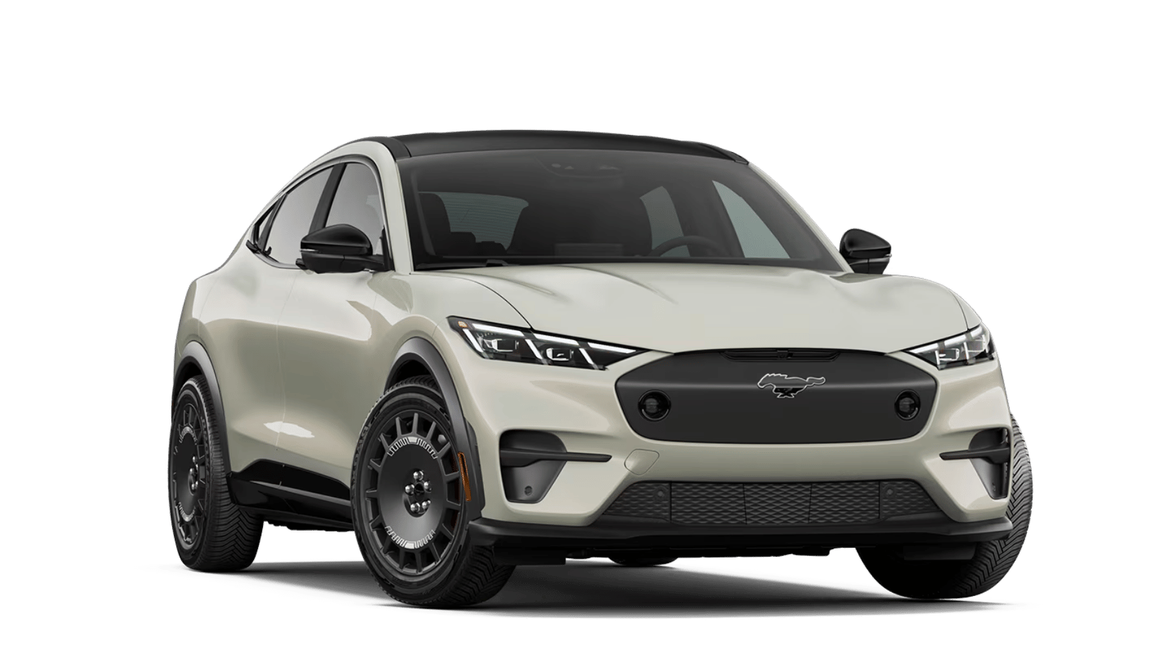 2026 Ford Mustang Mach-E Rally